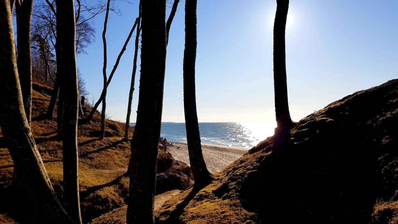 Вилла Lesna Ostoja Поддомбе Экстерьер фото